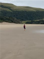 Shaun beach