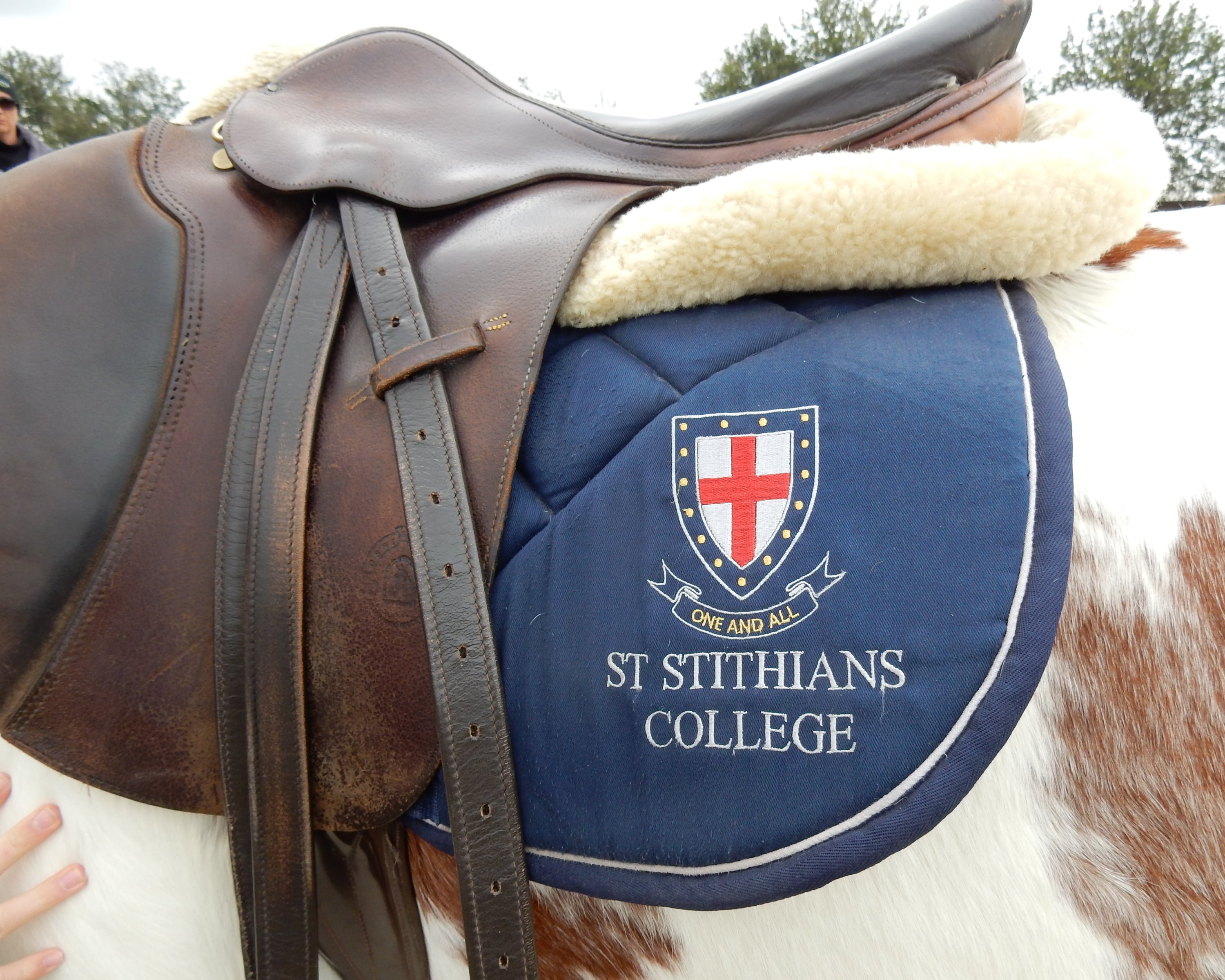 equestrian